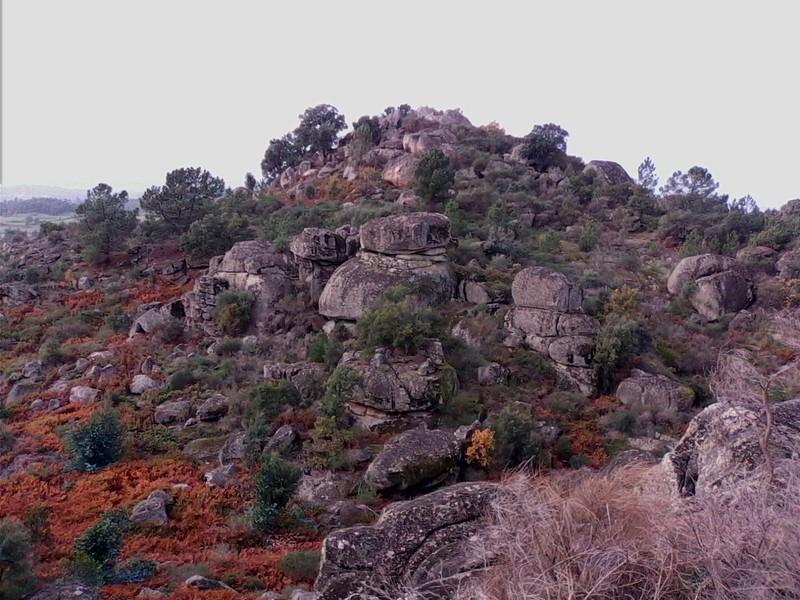 (292) - Mapa Rachã - Portugal 2024