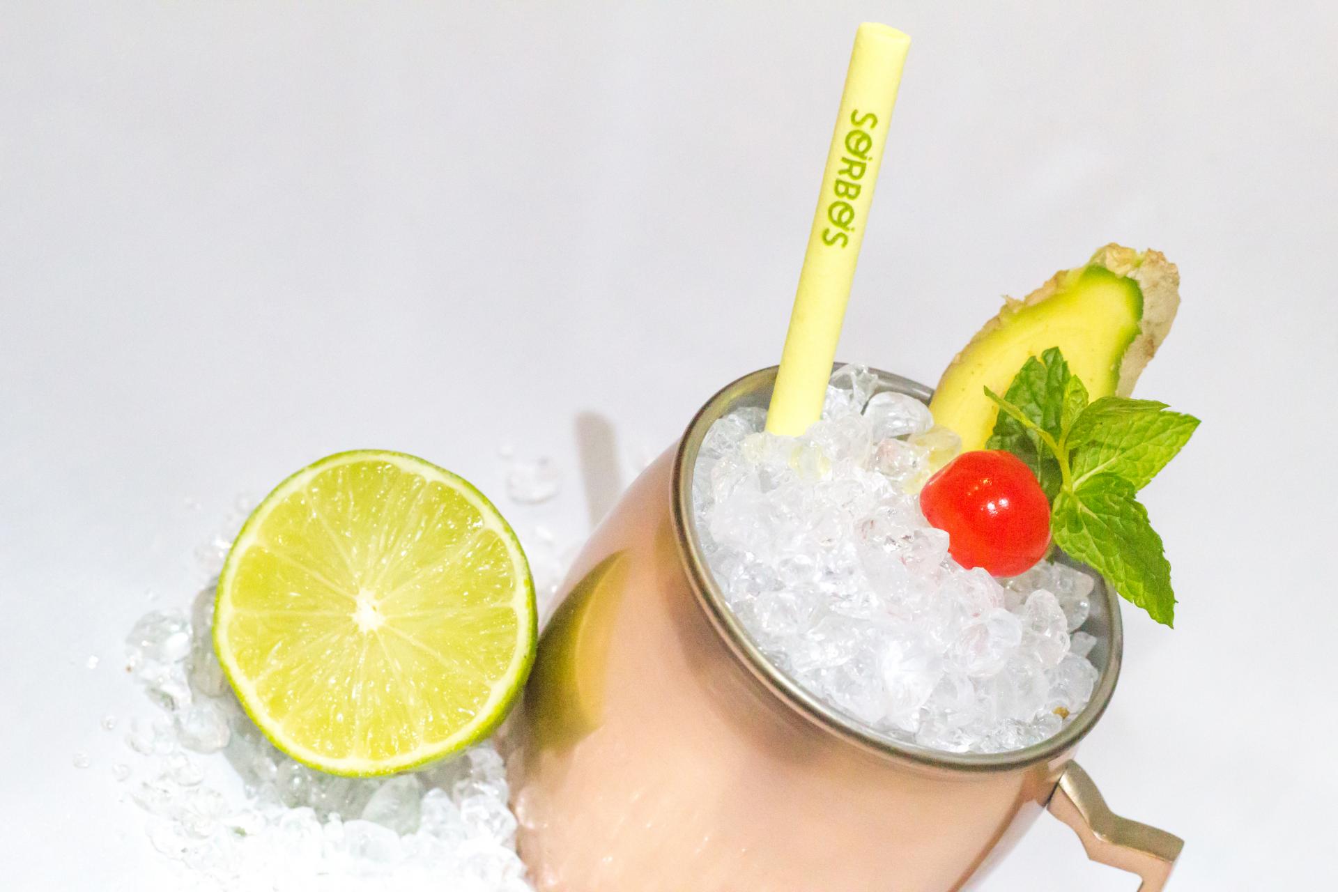 Sorbos Gengibre (cx 200)