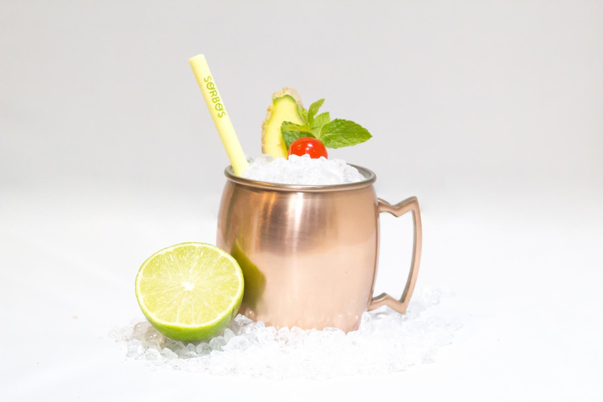 Sorbos Gengibre (cx 200)