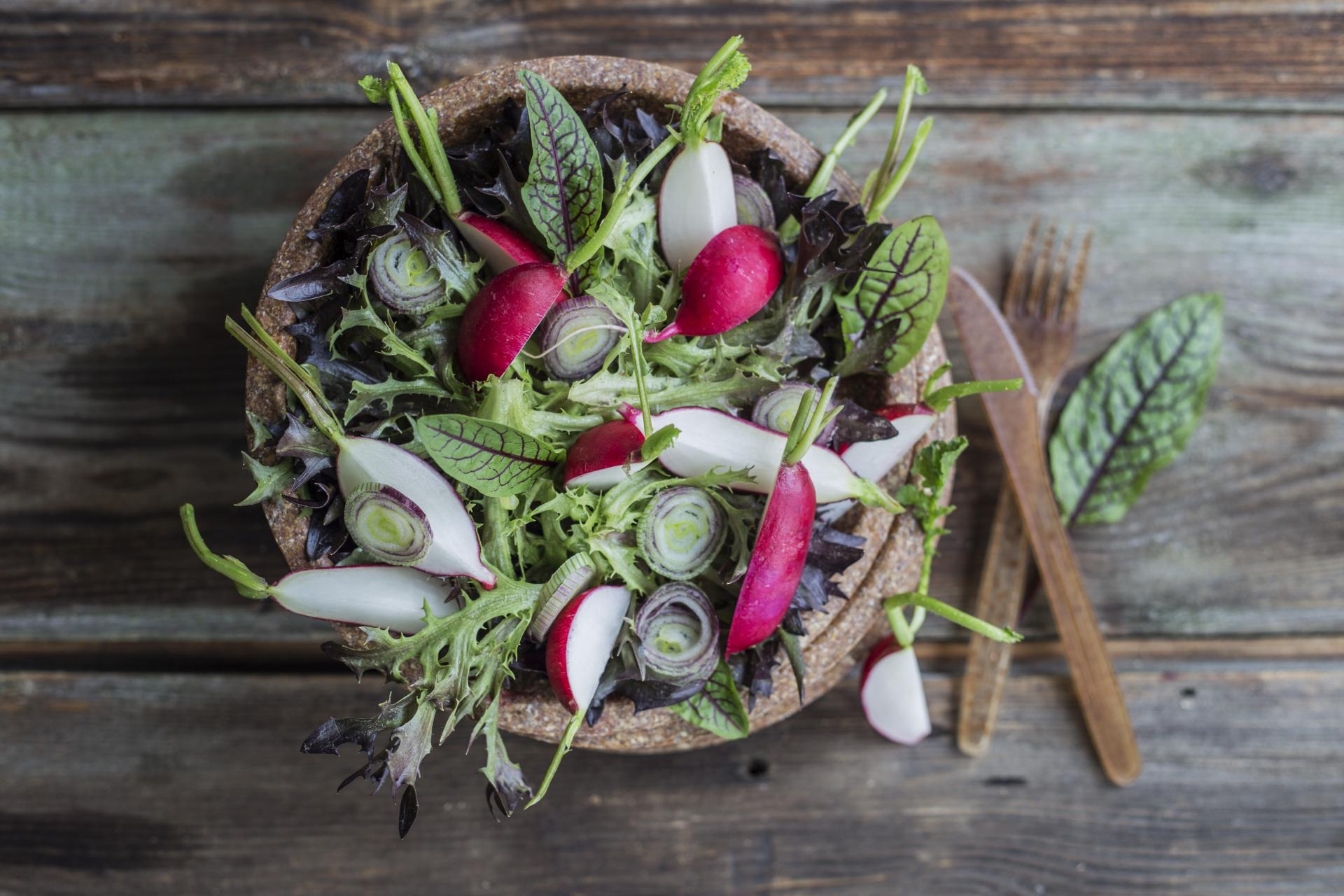 T20 | Prato 20cm - 10uni