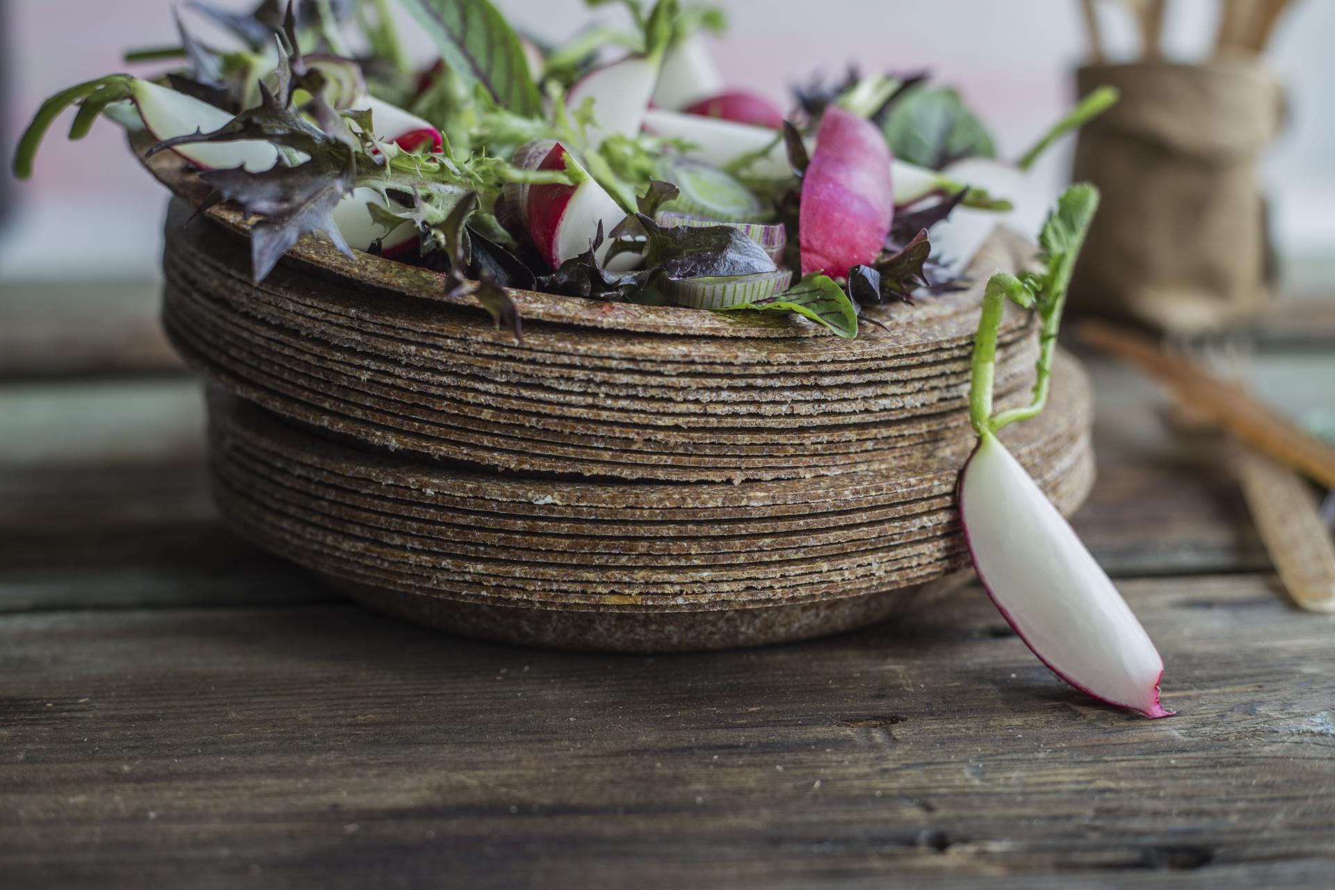 T20 | Prato 20cm - 10uni