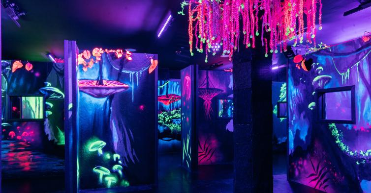 Parque de diversões In Fun inaugurou um espaço que recria a exuberante floresta de Pandora