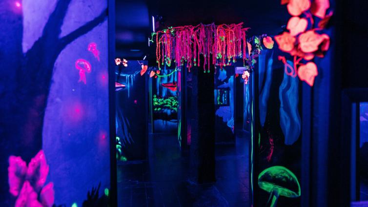 Parque de diversões In Fun inaugurou um espaço que recria a exuberante floresta de Pandora